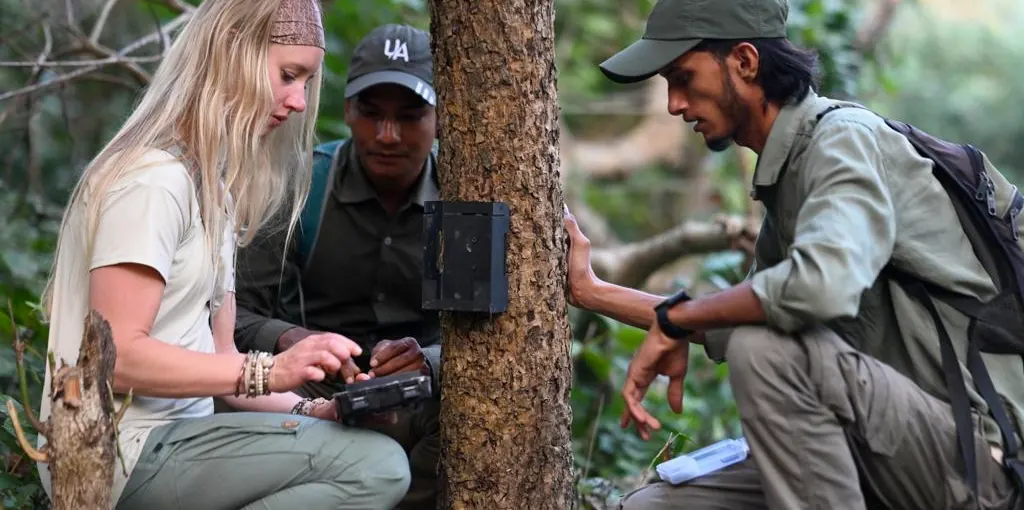 A student and two Nepali field staff fitting a camera trap to a tree in the forest at Bardiya