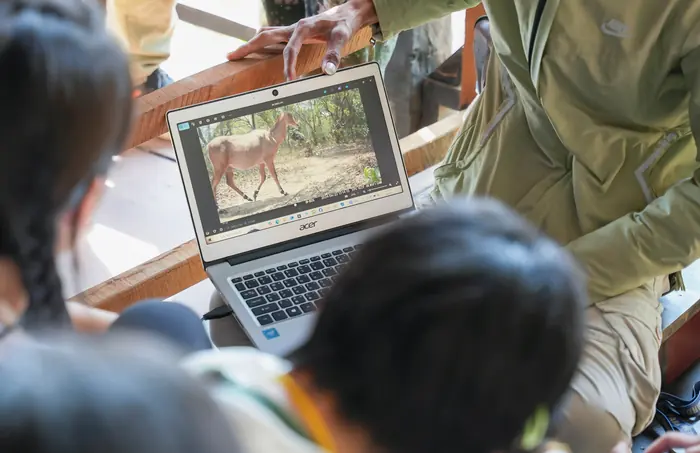 Students and a guide reviewing camera-trap images of a nilgai on a laptop